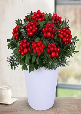 Konya Kokina Gönder 01